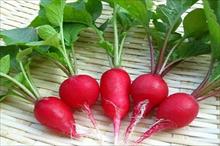 Lợi ích của rau màu đỏ đối với sức khỏe